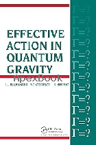 EFFECTIVE ACTION IN QUANTUM GRAVITY 1992 - 0750301228 - 9780750301220