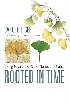 ROOTED IN TIME: LIVING FOSSILS & OTHER TENACIOUS PLANTS 2024 - 1421449382