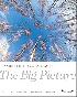 MARKETING MANAGEMENT: THE BIG PICTURE 2014 - 1118014553